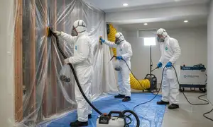 Santa Rosa, CA mold remediation service widget for water damage restoration homepage